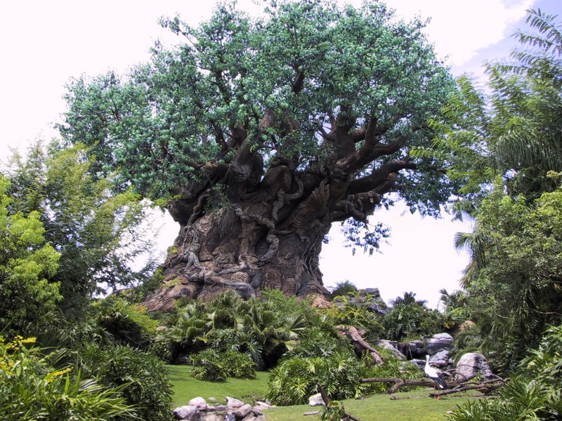 Disney179.JPG