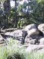 Disney119