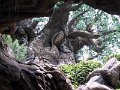 Disney166