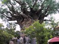 Disney171
