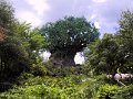 Disney174