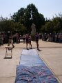 DCP_0053