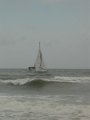 DSC01533