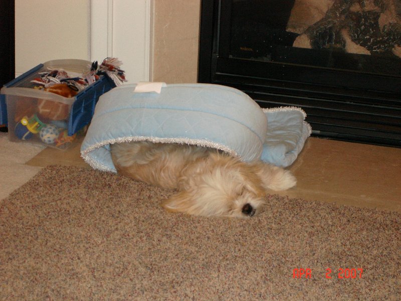 DSC01111.JPG