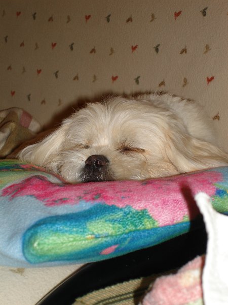 DSC01464.JPG