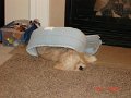 DSC01111