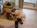 DSC01118