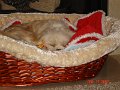 DSC01119