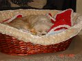 DSC01120