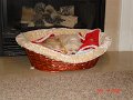DSC01121