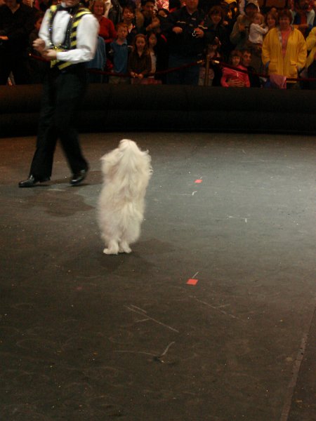 DSC02015.JPG
