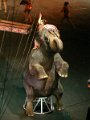 DSC02029