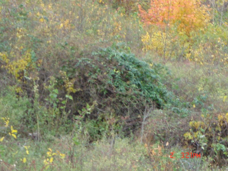 DSC03013.JPG
