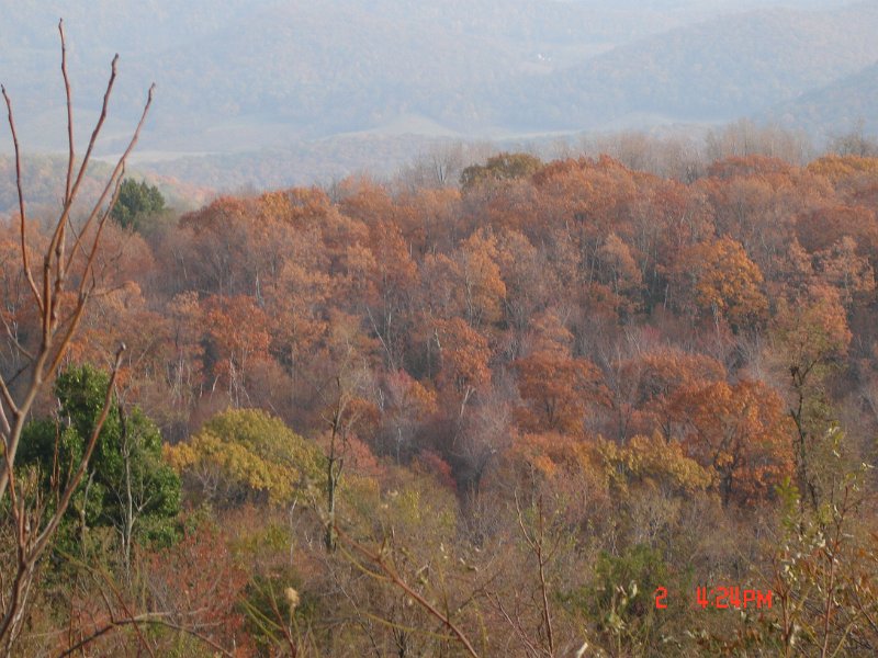 DSC03016.JPG