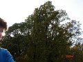 DSC03010