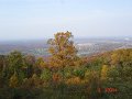 DSC03011