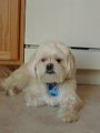 DSC01890