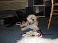 DSC02555