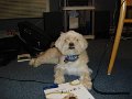 DSC02586