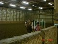 DSC03920
