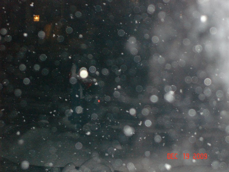 DSC03962.JPG