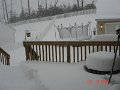 DSC03948