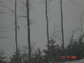 DSC03949