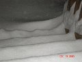 DSC03971