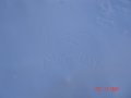 DSC03989