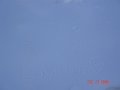 DSC03991
