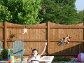 DSC03339