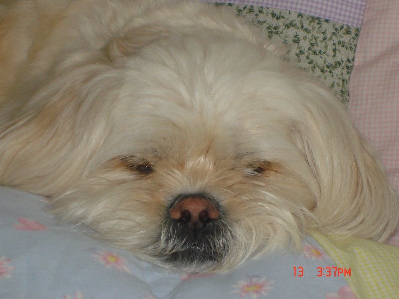 DSC03311.JPG