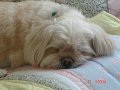 DSC03297