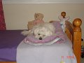 DSC03305