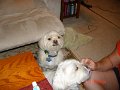 DSC03479