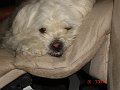 DSC03700
