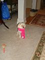 DSC03831