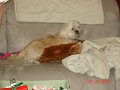 DSC04078