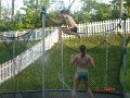 DSC03316