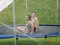 DSC03321