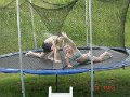 DSC03331