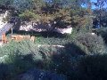 IMG_0093