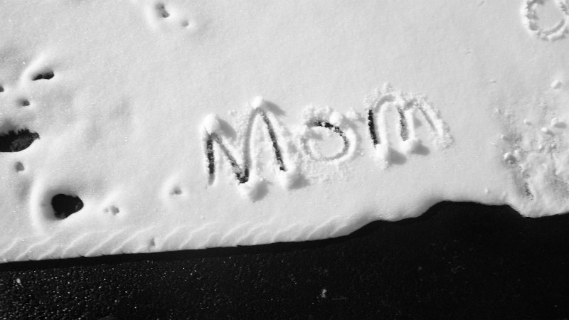 100_1520.JPG