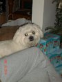 DSC04921