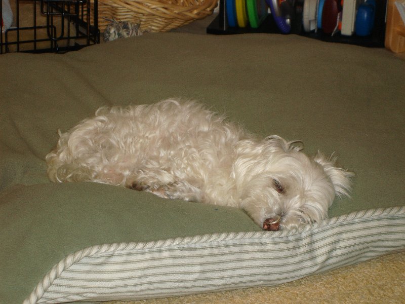 DSC02785.JPG