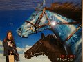 DSC04864