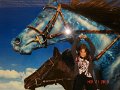 DSC04868