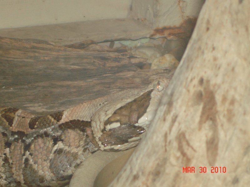 DSC04232.JPG