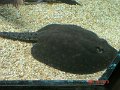 DSC04203