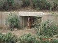 DSC04214